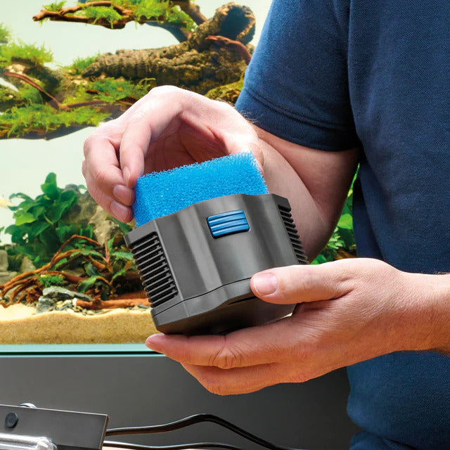 Oase BioPlus 20 ppi Blue Foam Filter